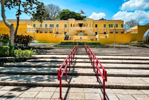 San José : visite guidée à pied de 4 heures
