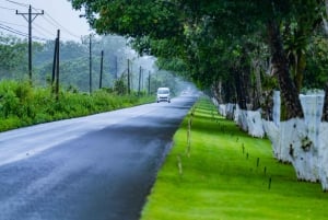 San Jose Airport: Shared Shuttle from/to La Fortuna
