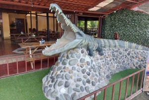 San José: excursión de 1 día a un resort de playa con todo incluido