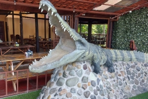 San José: excursión de 1 día a un resort de playa con todo incluido