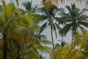 San José: excursión de 1 día a un resort de playa con todo incluido