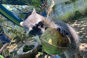 San Jose: Animal Rescue Center Entry with Guided Tour