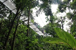 San Jose: hangbruggen van Arenal en warmwaterbronnen van Baldi