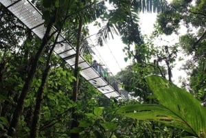 San Jose: Arenal Hanging Bridges & Baldi Hot Springs Tour