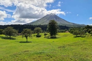 San Jose: Arenal Volcano and Baldi Hot Springs Day Trip