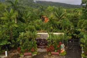 San Jose: Arenal Volcano and Baldi Hot Springs Day Trip