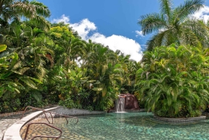 San José: viagem de um dia ao vulcão Arenal e às fontes termais de Baldi