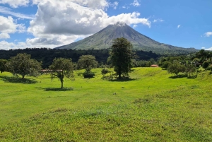 San José: viagem de um dia ao vulcão Arenal e às fontes termais de Baldi