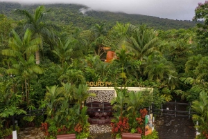 San José: viagem de um dia ao vulcão Arenal e às fontes termais de Baldi