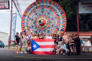 San José: viagem de um dia ao vulcão Arenal e às fontes termais de Baldi
