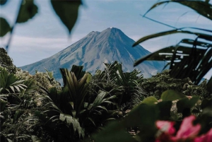 San José: Vulcão Arenal e fontes termais com almoço