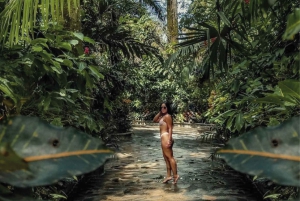 San José: Vulcão Arenal e fontes termais com almoço