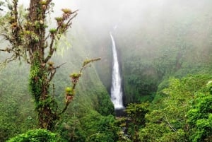 San José: Arenal Volcano, Hot Springs, & Zip Lining w/ Meals