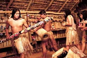 San José: Arenal Volcano, Hot Springs, & Zip Lining w/ Meals