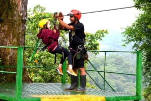 San José: Arenal Volcano, Hot Springs, & Zip Lining w/ Meals