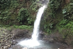 San José: vulcão Arenal, cachoeiras, café e fontes termais