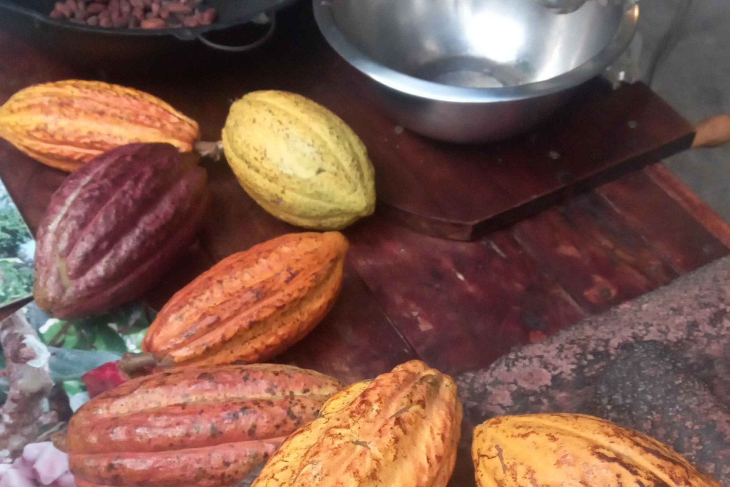 San Jose: Jose: Cacao & Chocolate Workshop