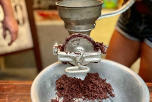 San José: Taller de Cacao y Chocolate