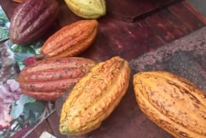 San Jose : Atelier Cacao et Chocolat
