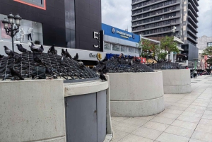 San José: Stadsrondleiding en centrale markt met lokaal eten