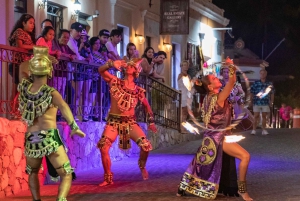 San José: Stadsvandring & naturskön middag