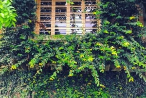 City tour por San José com café, chocolate e degustações