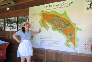San José: Rundtur och provsmakning av kaffeproduktion