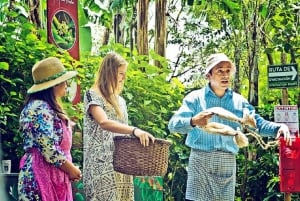 San José: Wycieczka po produkcji kawy i degustacja