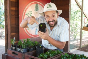 Сан-Хосе: тур по производству кофе и дегустация