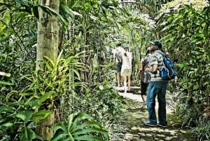 Сан-Хосе: тур по производству кофе и дегустация