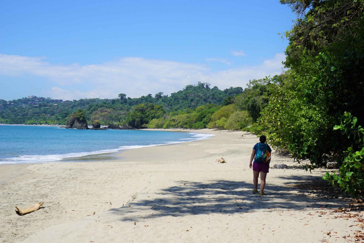 San José Costa Rica: Excursión al Parque Nacional Manuel Antonio