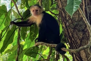 San José Costa Rica : Visite du parc national Manuel Antonio