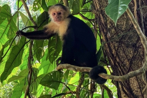 San Jose Costa Rica: Manuel Antonio National Park Tour