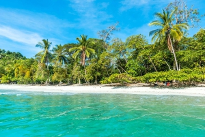 San Jose Costa Rica: Manuel Antonio National Park Tour