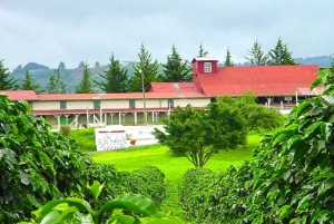 San Jose: Doka, Grecia & Sarchi Oxcart Factories and Stores