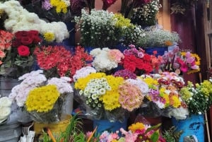 San José: Culinaire tour op de Centrale Markt