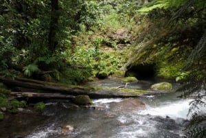 San José: excursão guiada ao vulcão, cachoeira e fazenda de café