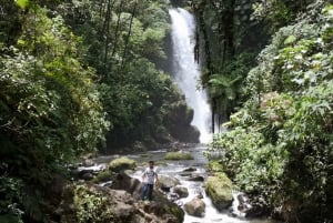 San José: excursão guiada ao vulcão, cachoeira e fazenda de café