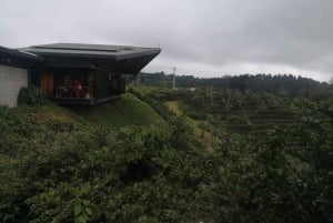 San José: gita guidata di un giorno al vulcano, alla cascata e alla fattoria del caffè