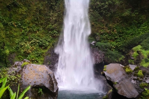 San José: Dagstur til Irazú- og Turrialba-vulkanene og Orosi-dalen