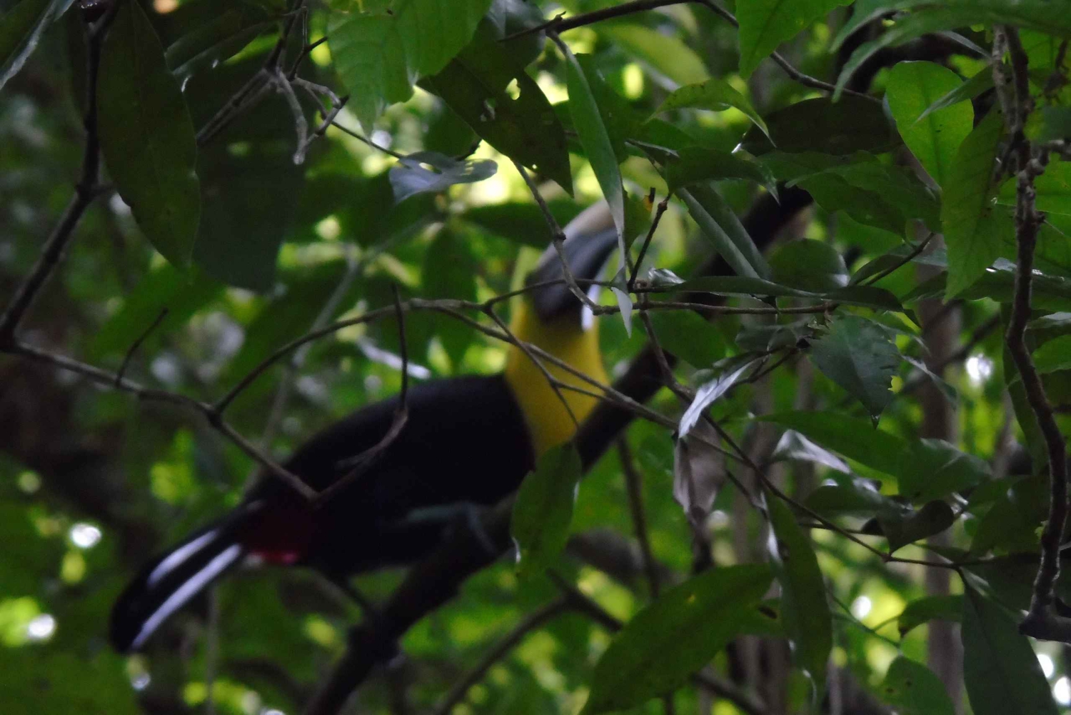 San José : Excursion d'une demi-journée aux jardins des chutes d'eau de La Paz