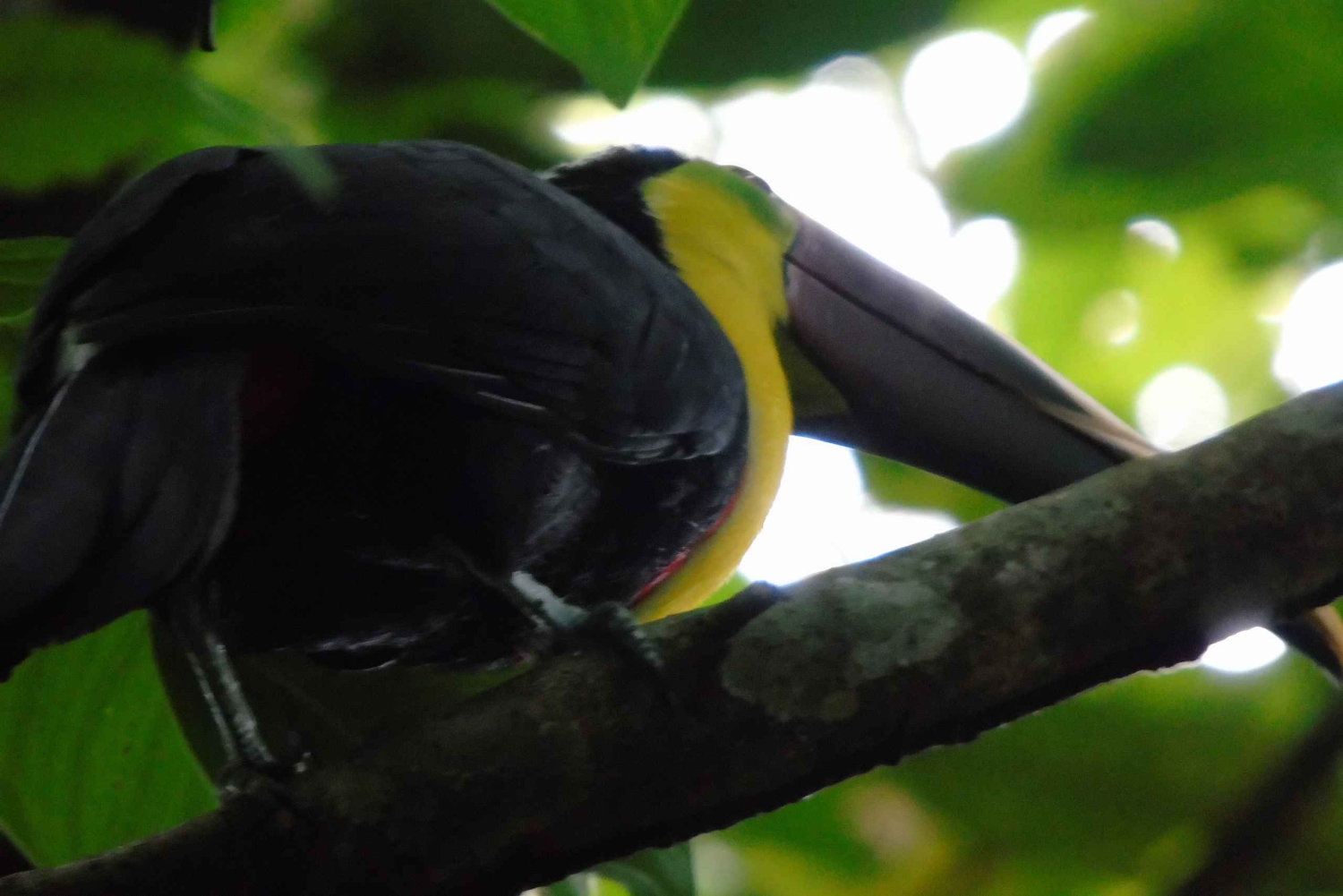 San José : Excursion d'une demi-journée aux jardins des chutes d'eau de La Paz