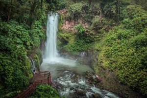 San José : Excursion d'une demi-journée aux jardins des chutes d'eau de La Paz