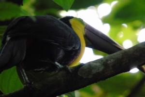 San José : Excursion d'une demi-journée aux jardins des chutes d'eau de La Paz