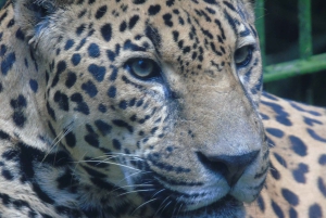 San José : Excursion d'une demi-journée aux jardins des chutes d'eau de La Paz