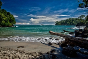 San Jose: Manuel Antonio National Park Day Trip with Lunch