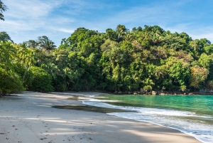 San Jose: Manuel Antonio National Park Day Trip with Lunch