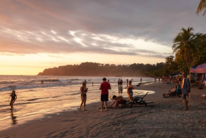 San Jose: Manuel Antonio nasjonalpark Dagstur med lunsj