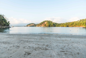San Jose: Manuel Antonio nasjonalpark Dagstur med lunsj