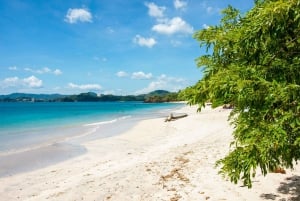 San Jose: Manuel Antonio nasjonalpark Dagstur med lunsj
